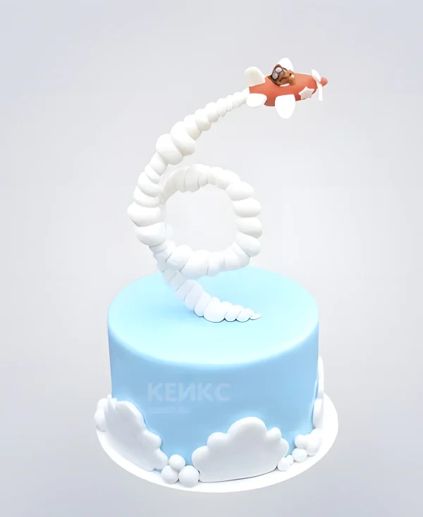 Торт полет на самолетике Фото