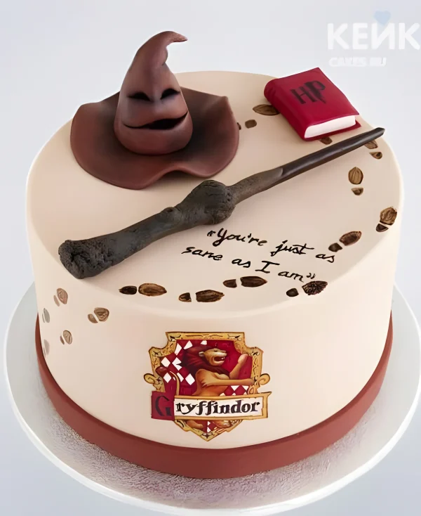 Торт в стиле Гарри Поттера со шляпой и палочкой Фото