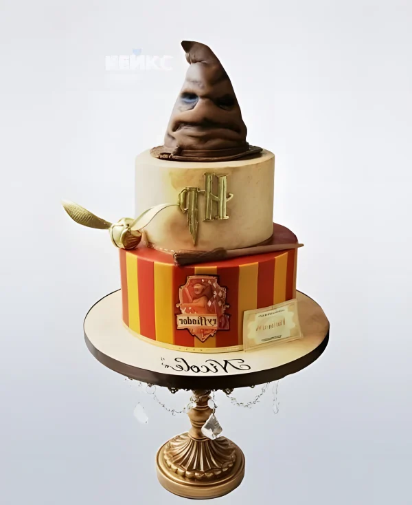 Торт в стиле Гарри Поттера со шляпой Фото