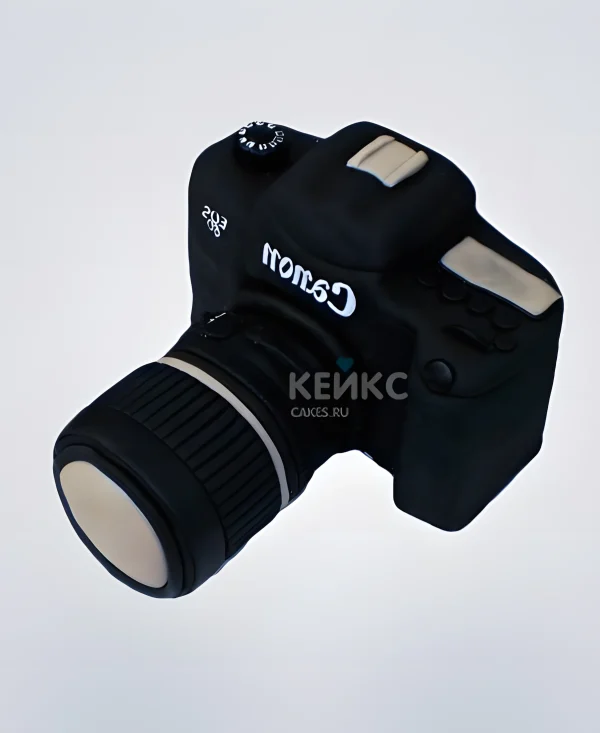 Торт 3D в виде фотоаппарата Фото