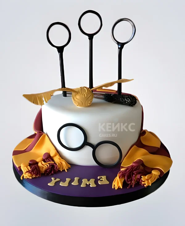 Торт Гарри Поттер с квидич Фото