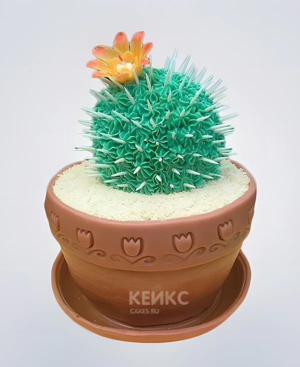 Торт кактус в горшке Фото