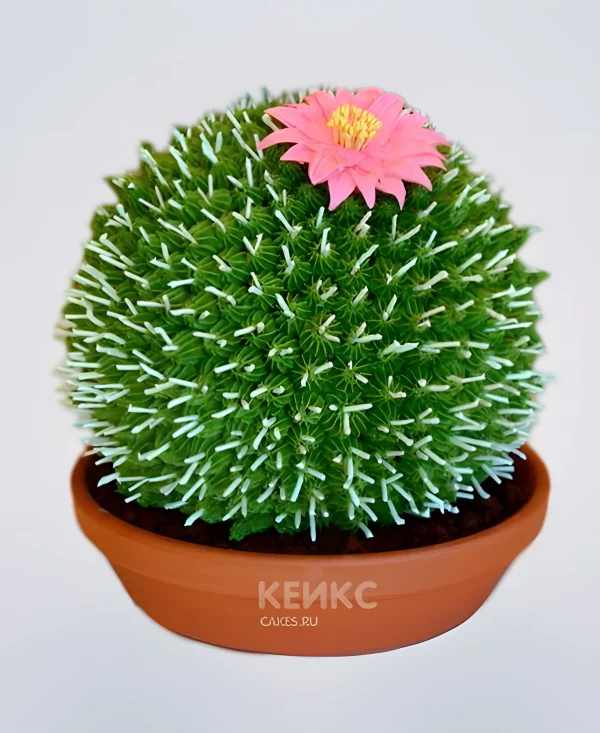 Торт кактус с розовым цветочком Фото