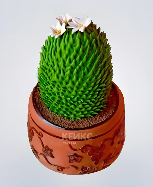 Торт Кактус Фото