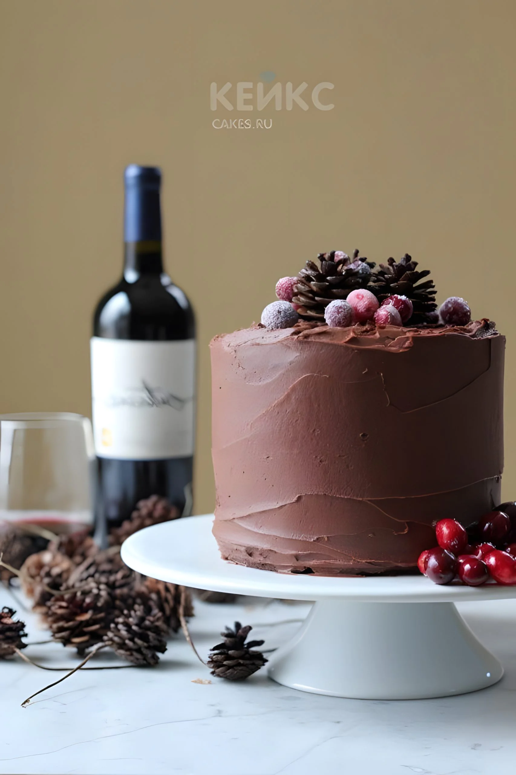 Шоколадный торт с ягодами и шишками Фото