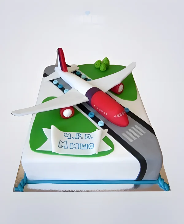 Торт самолет со взлетной полосой Фото