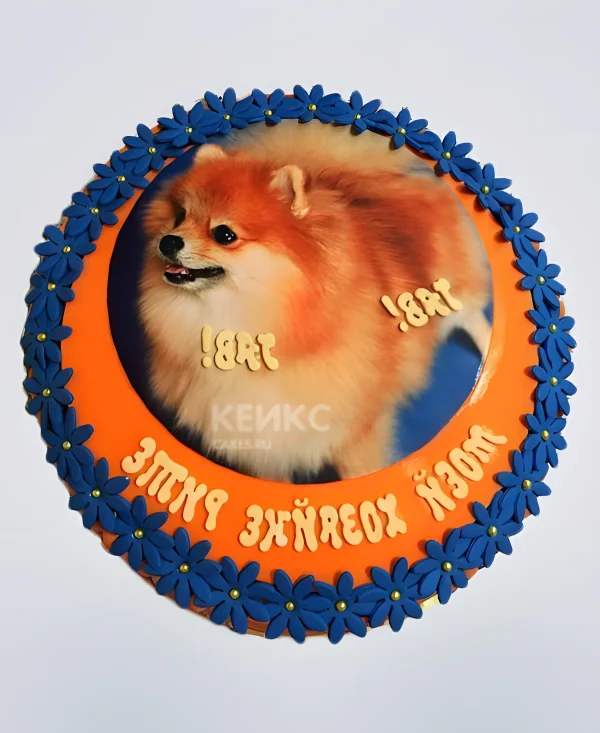 Оранжевый торт с фото шпица Фото