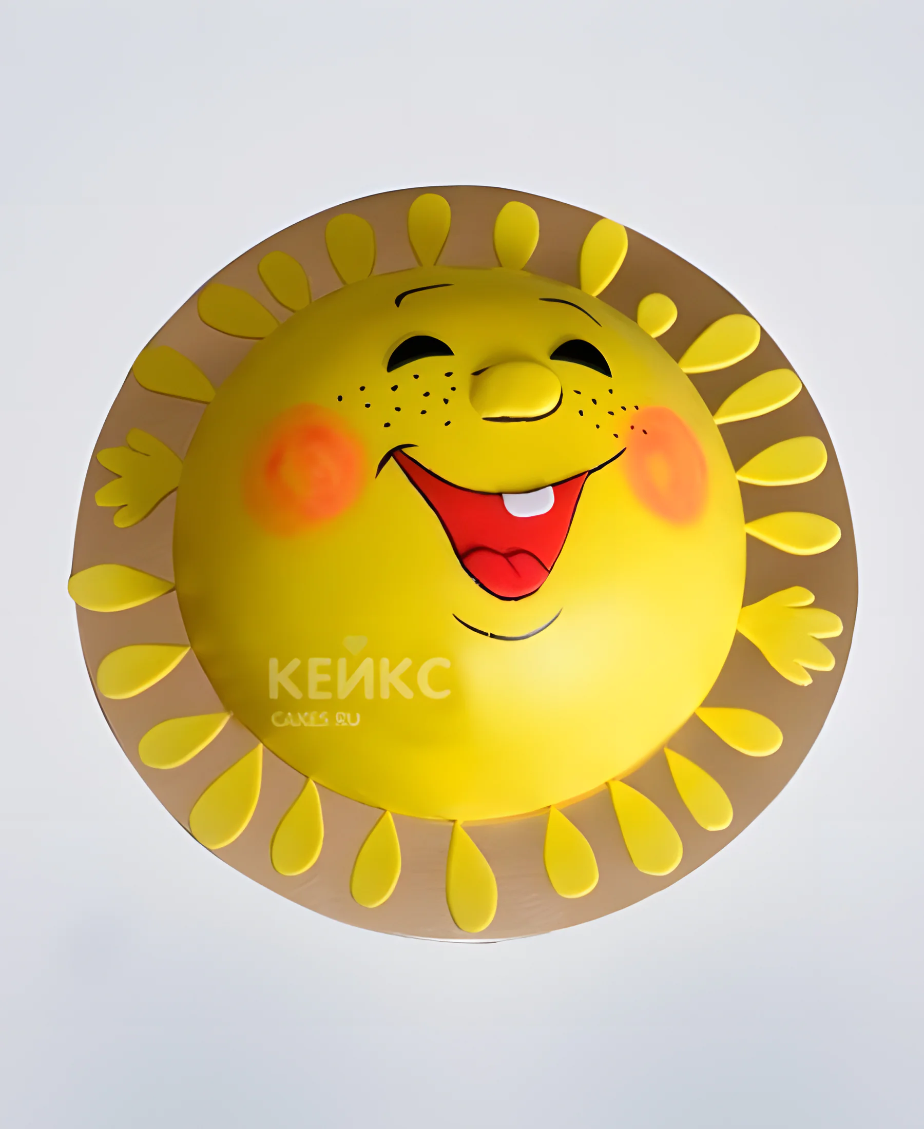 Милый торт в виде солнышка с мордочкой Фото