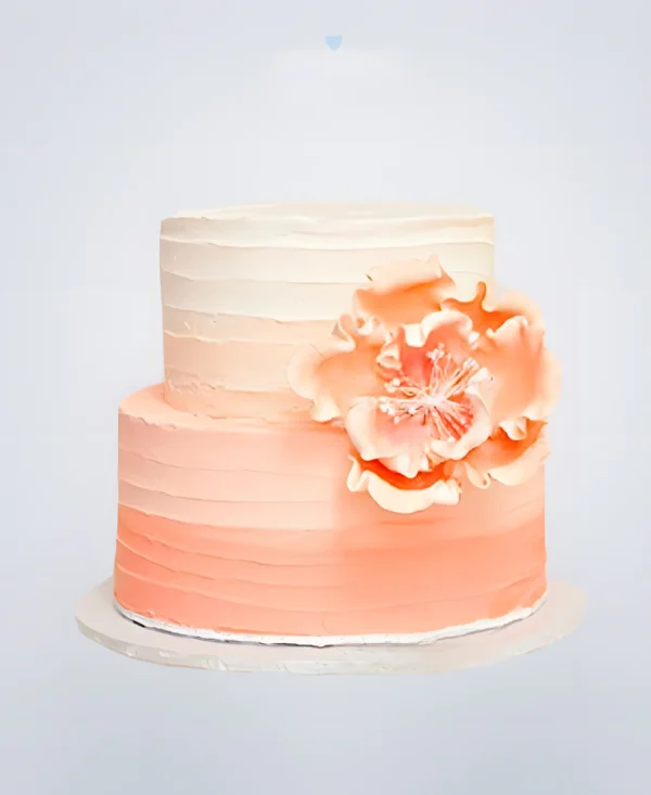 Нежно-розовый двухъярусный торт омбре Фото