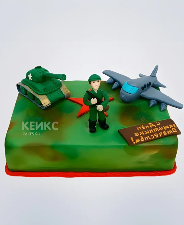 Торт Военный самолет Фото