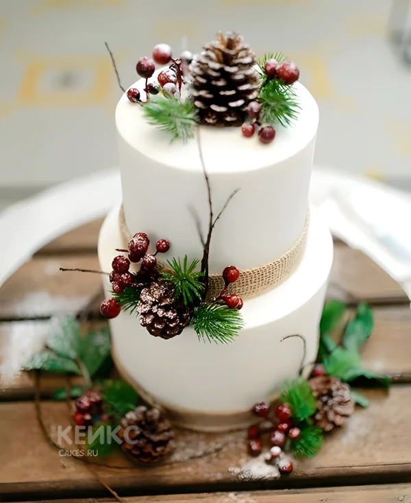 Торт зимний с шишками и красной ягодой Фото