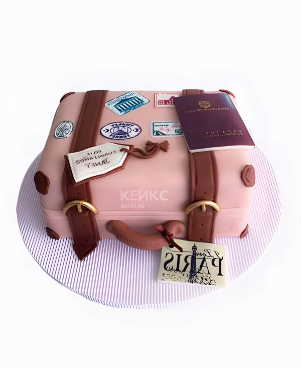 Розовый торт для путешественницы в виде чемодана Фото