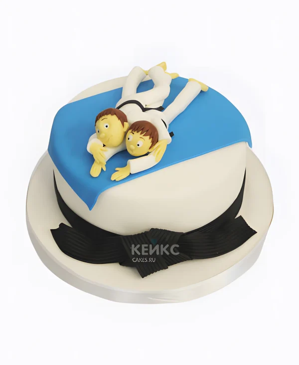 Торт дзюдо с фигурками из мастики Фото