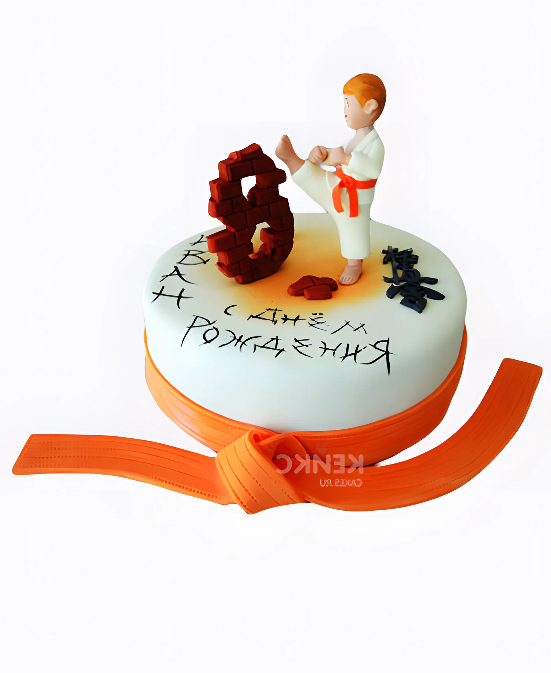 Торт для каратиста на день рождения Фото