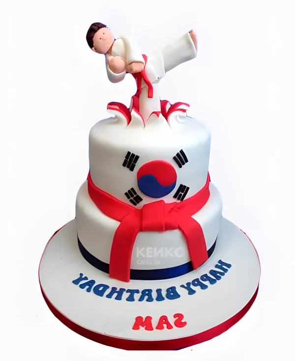 Торт мальчику каратисту Фото