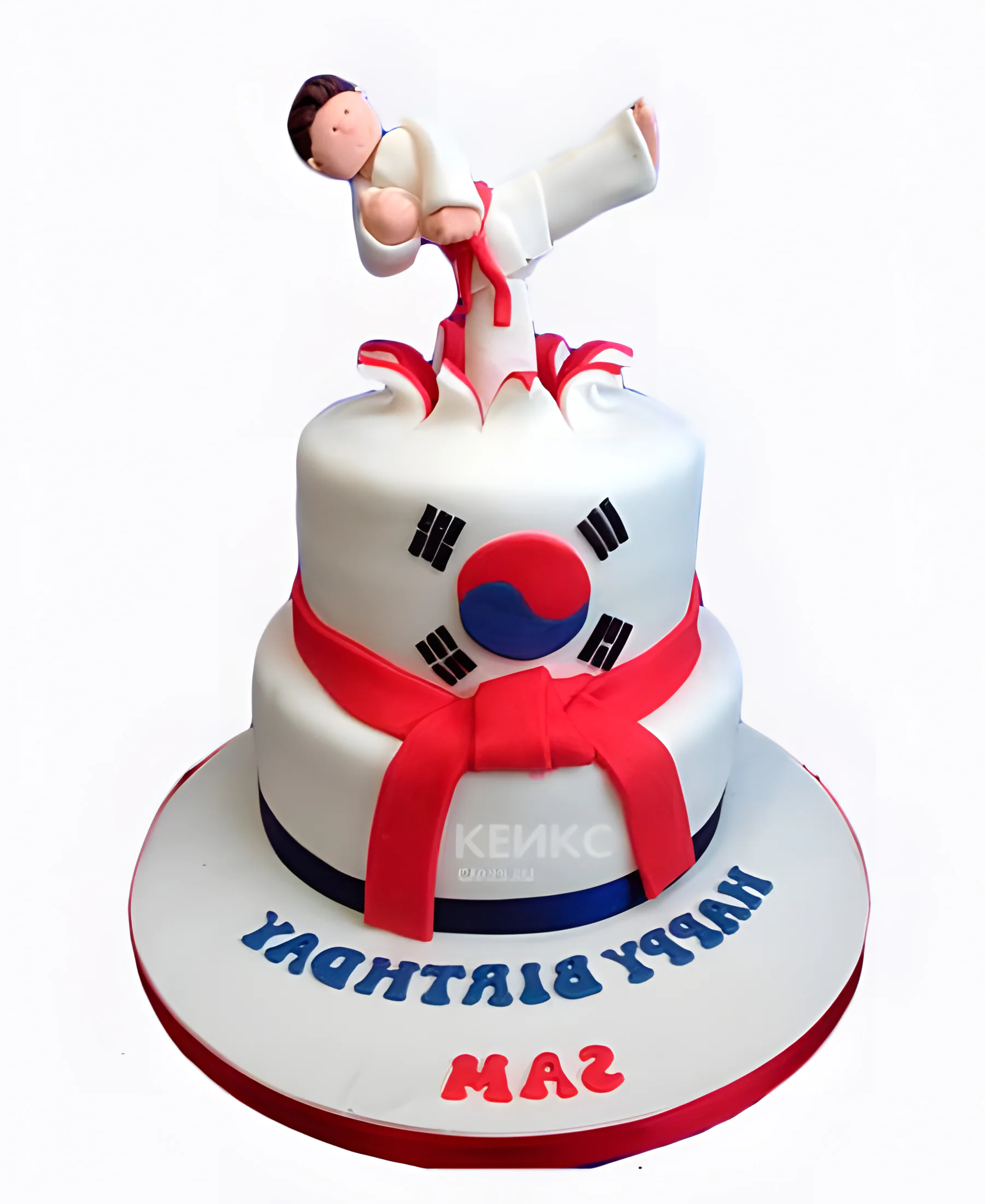 Торт мальчику каратисту Фото