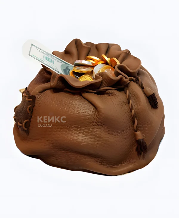 Изящный торт мешок денег Фото
