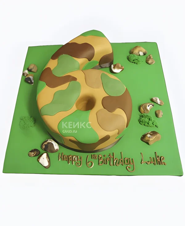 Камуфляжный торт в виде цифры 6 для мальчика Фото