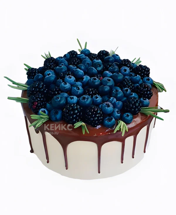 Торт с ежевикой и голубикой в шоколаде и еловыми веточками Фото