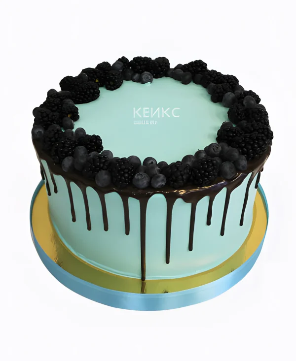 Торт с ежевикой в темном шоколаде Фото