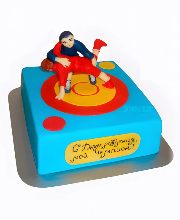 Торт самбо для мальчика 10 лет Фото