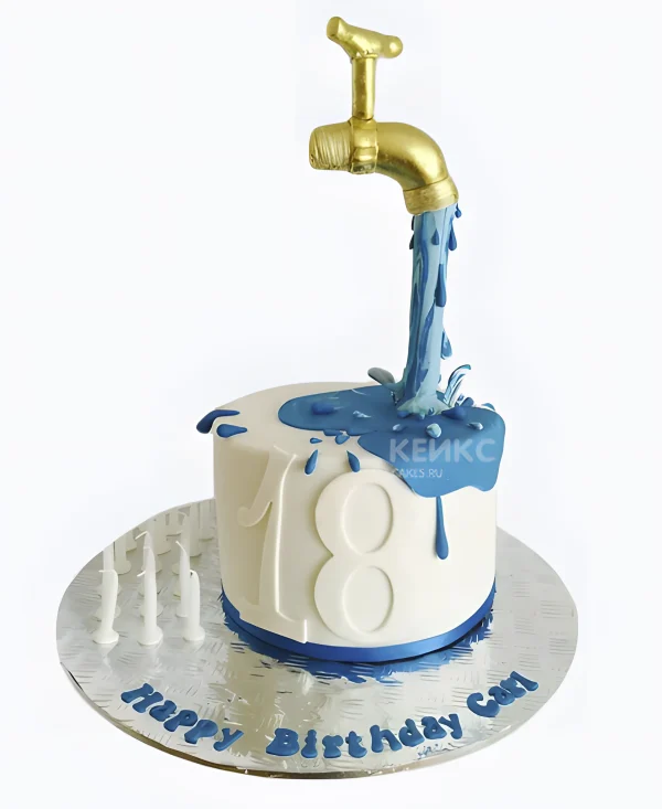 Необычный торт сантехнику Фото