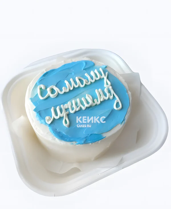 Бело-голубой бенто-торт сыну с надписью Фото