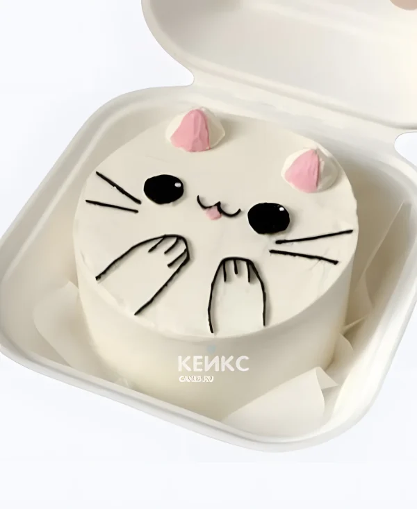 Бенто-торт на годик с мордочкой кота Фото