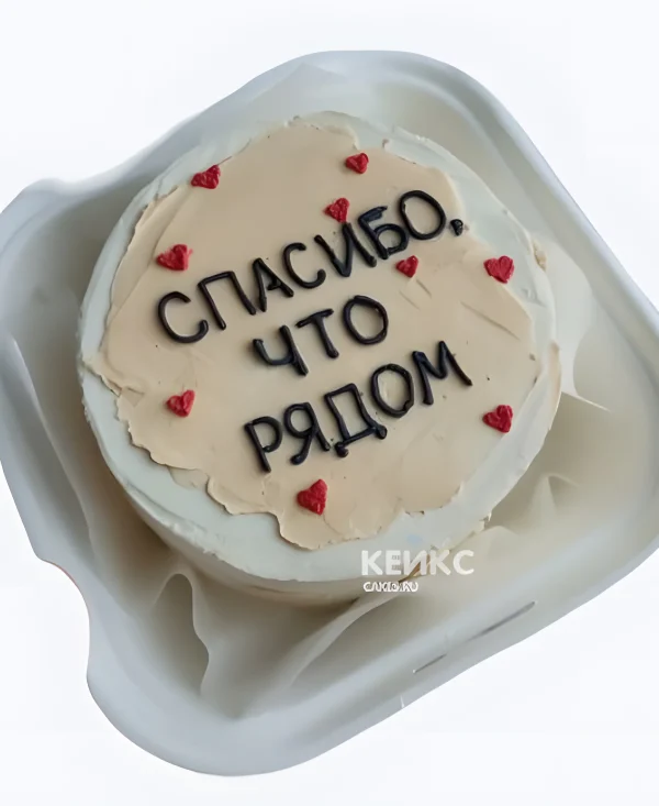 Бенто-торт на годовщину с надписью спасибо, что рядом Фото