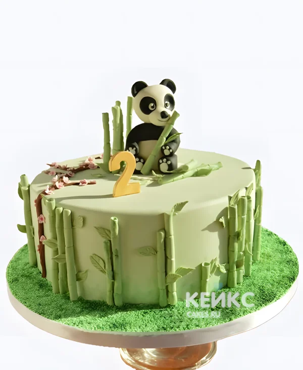 Бенто торт панда в зеленом цвете с бамбуком Фото