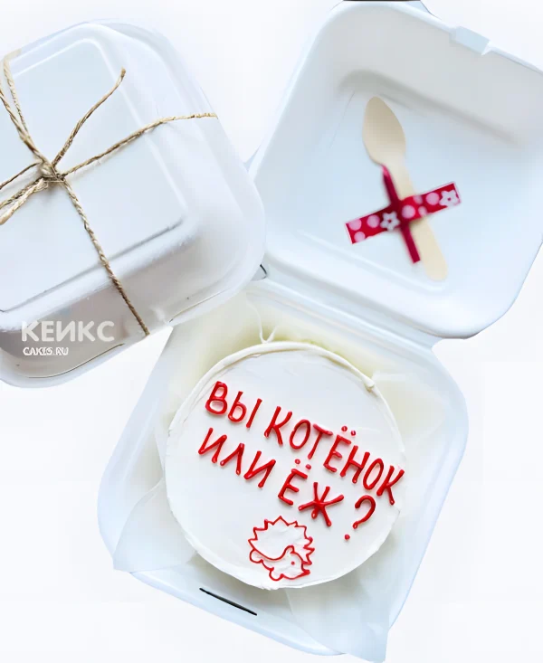 Бенто-торт с надписью и ежиком Фото