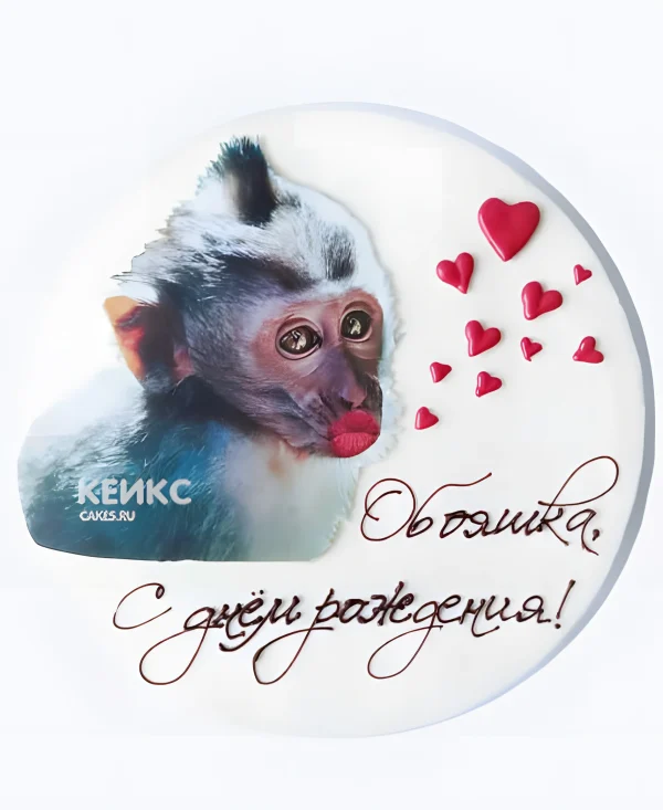 Бенто-торт с обезьянкой и фотопечатью Фото