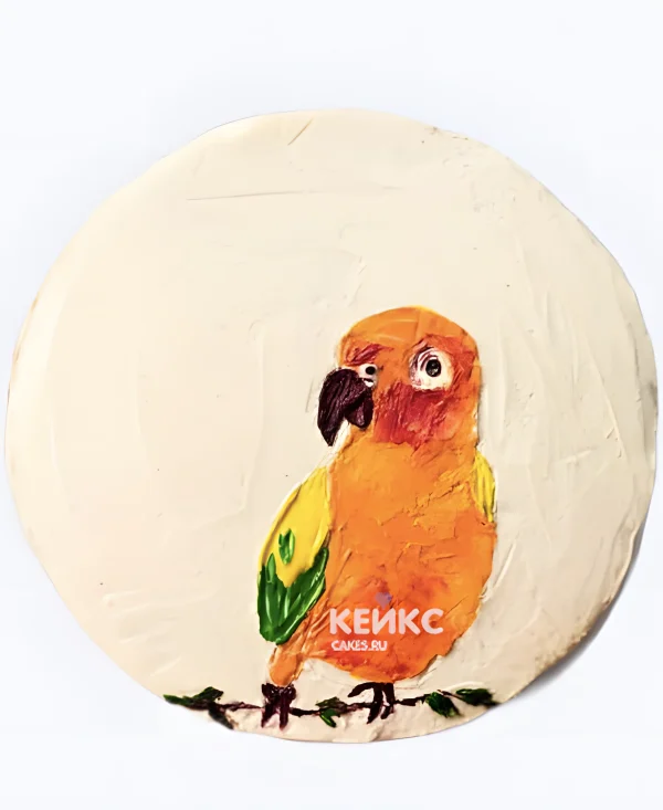 Бенто-торт с волнистым попугайчиком Фото