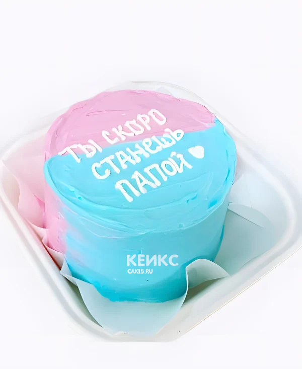 Бенто-торт "Ты скоро станешь папой" Фото