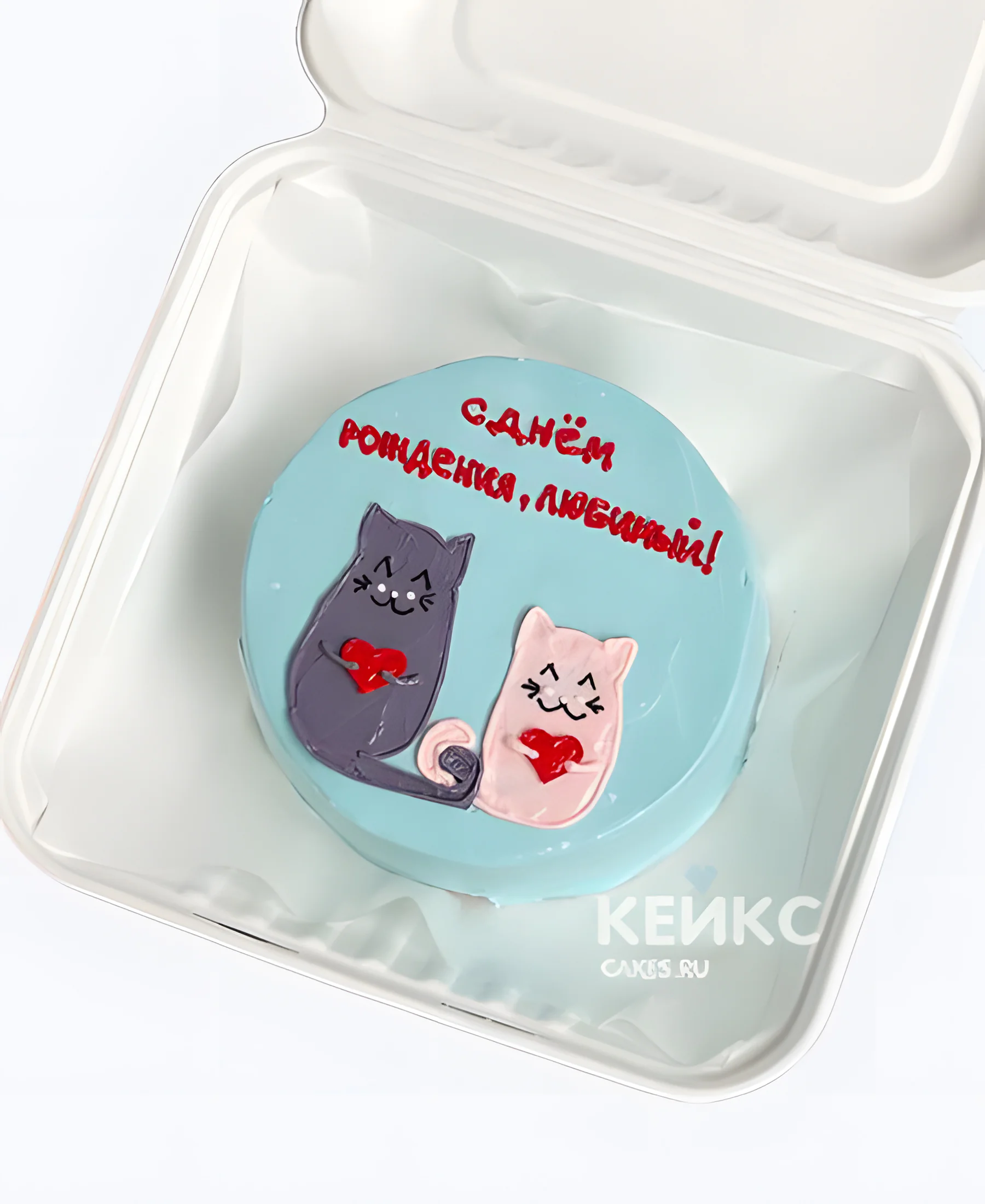 Бирюзовый бенто торт с котиками и надписью Фото