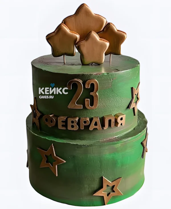 Двухъярусный торт на 23 февраля Фото