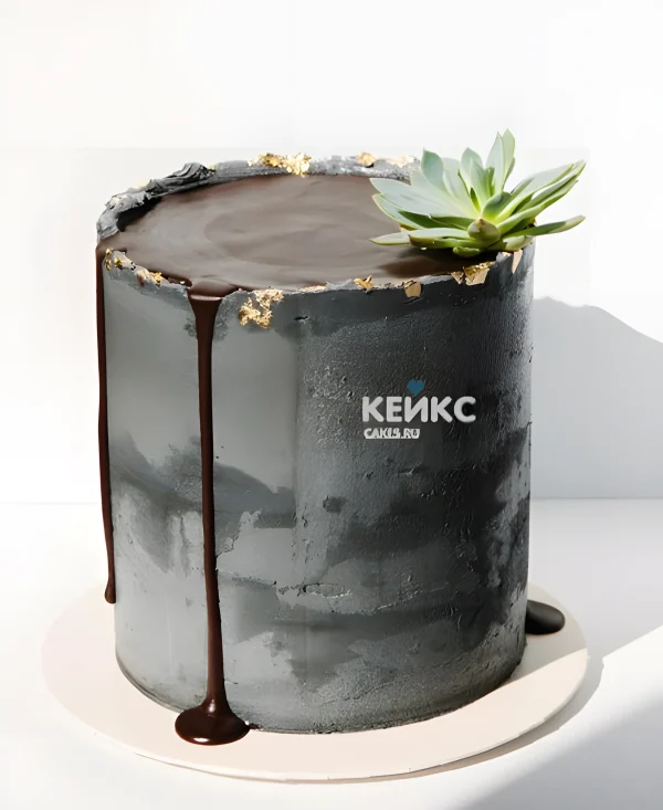 Эстетичный торт с суккулентом Фото