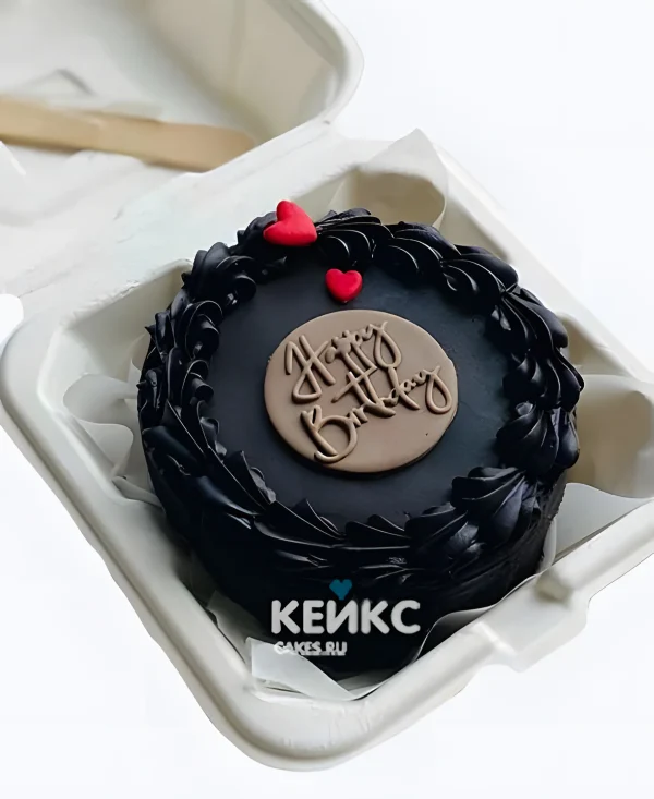 Изящный шоколадный бенто торт Фото