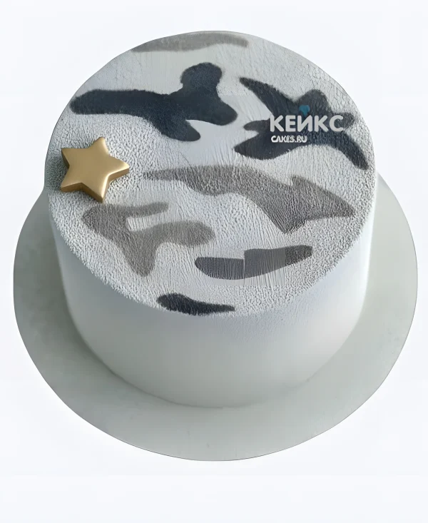 Камуфляжный торт на 23 февраля Фото