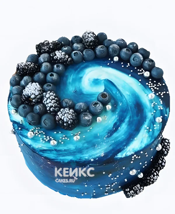 Торт галактика с голубикой и ежевикой Фото
