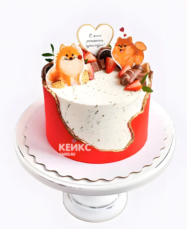 Красно-белый торт со шпицем Фото