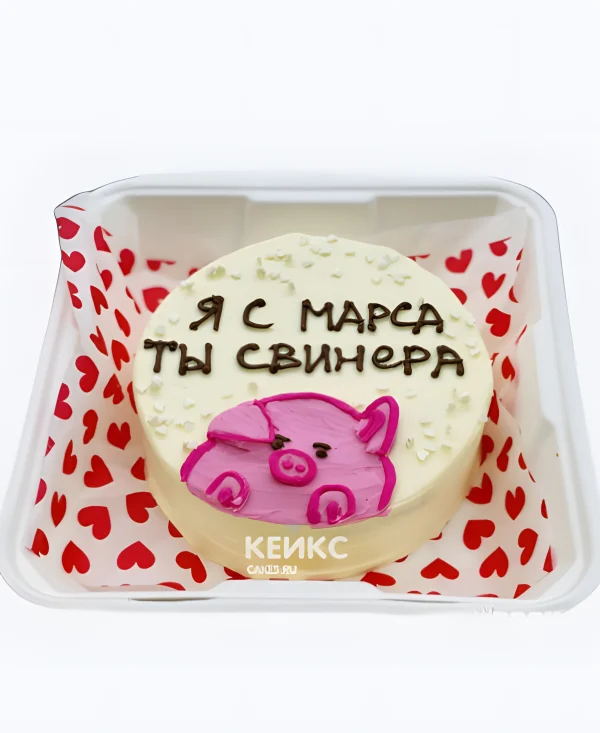 Прикольный бенто-торт подруге с хрюшкой Фото