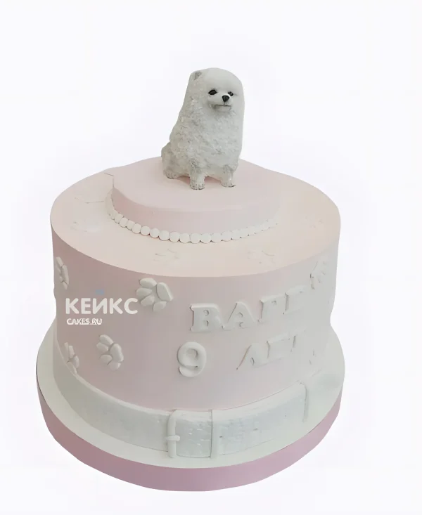 Розовый мастичный торт со шпицем Фото