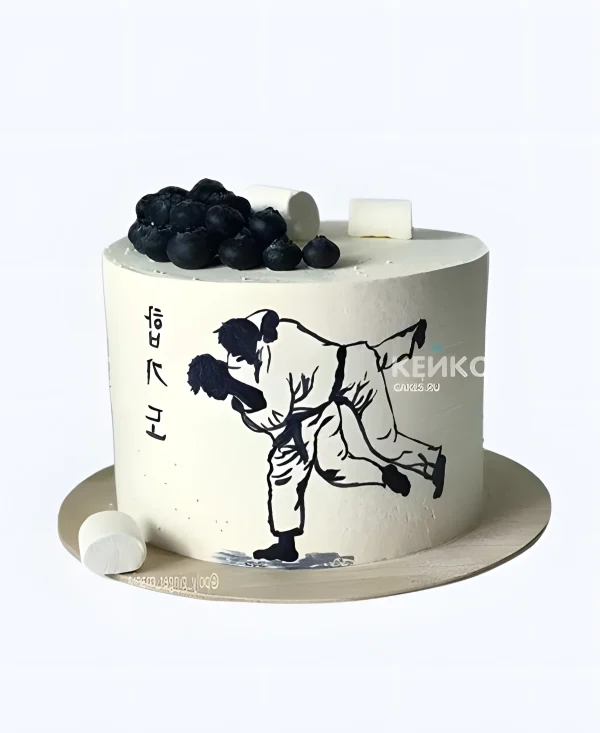 Торт мальчику на 8 лет с голубикой и тхэквондо Фото