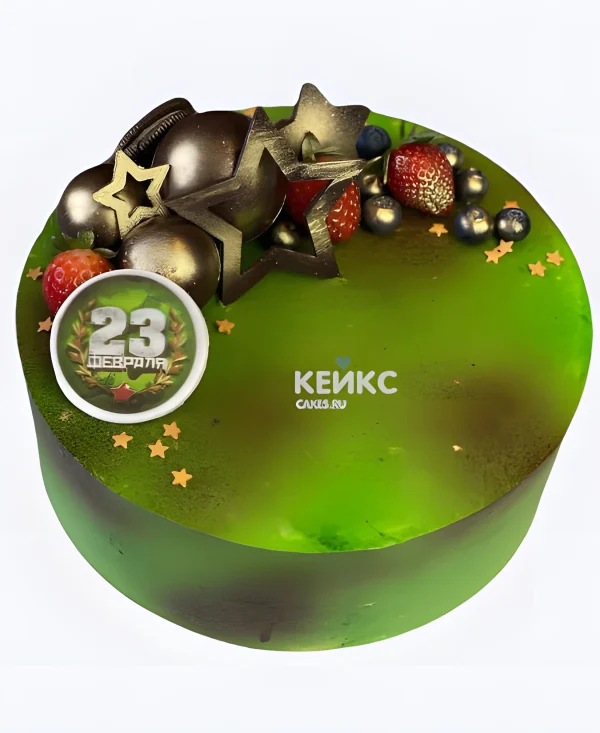 Торт на 23 февраля для мужчины с шоколадом Фото