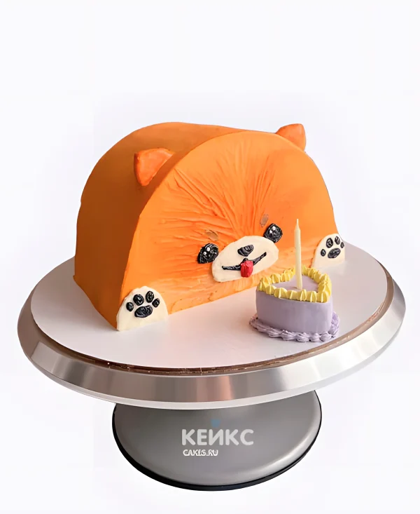 Торт половинка в виде шпица Фото