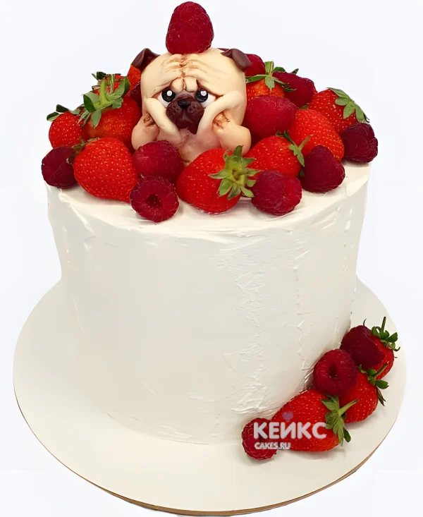 Торт с мопсом и ягодками Фото
