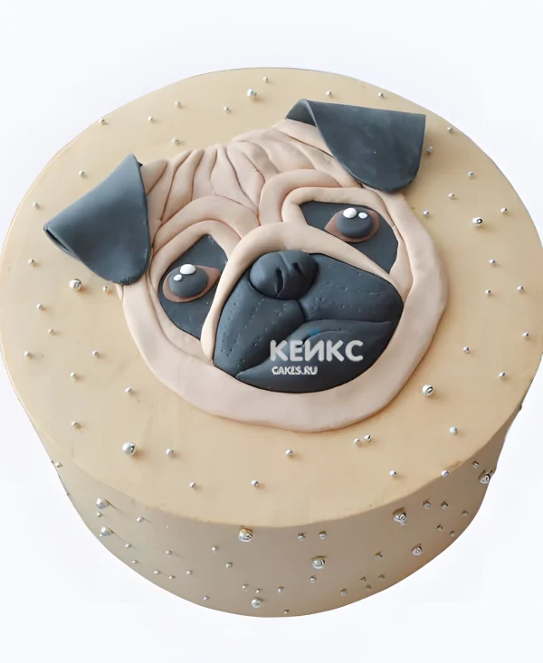 Торт с мордочкой мопса и бусинами Фото