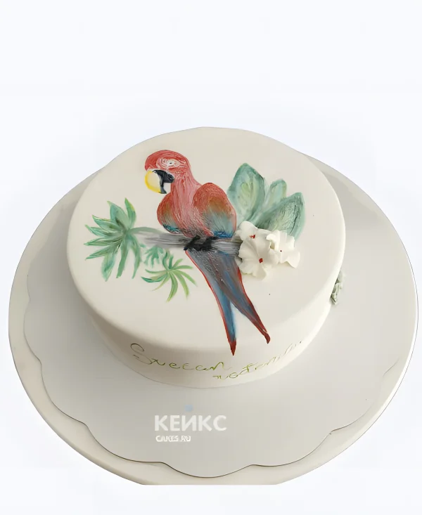 Торт с рисунком попугая для мальчика Фото
