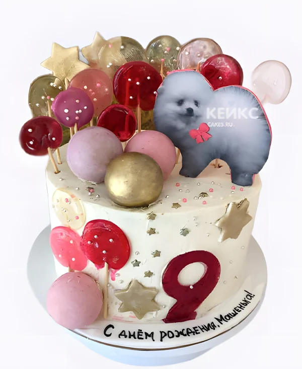 Торт со шпицем и леденцами Фото